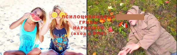 хмурый Балабаново