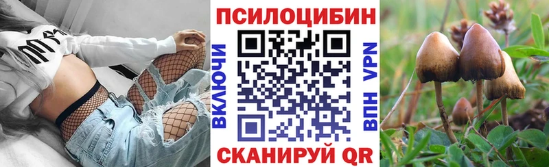 Галлюциногенные грибы Psilocybine cubensis  Магас 